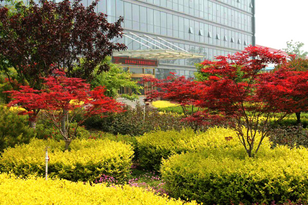 1522835182218816.jpg 1430808408684.jpg